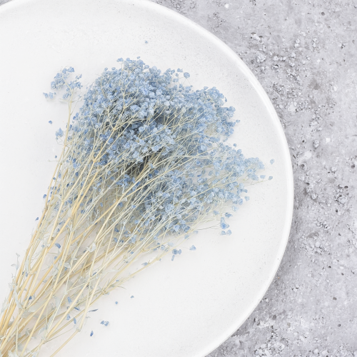 Gypsophila Cotton Sky Blue 10_1.png