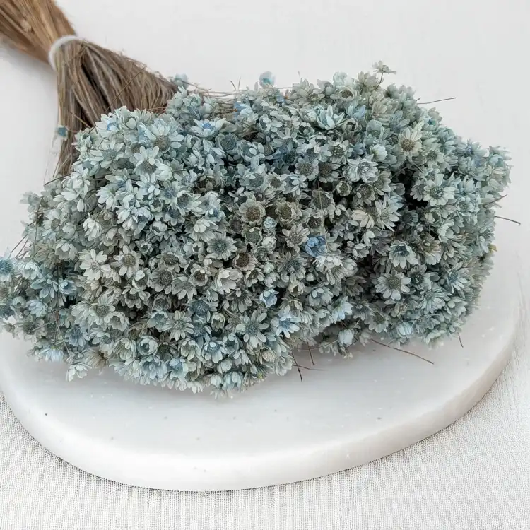 glixia Sky blue IT 2.png