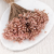 Glixia Lt pink IT 2.png