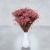 Glixia pink IT 5.png