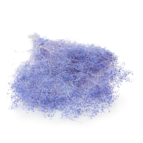 gips mini lila.png