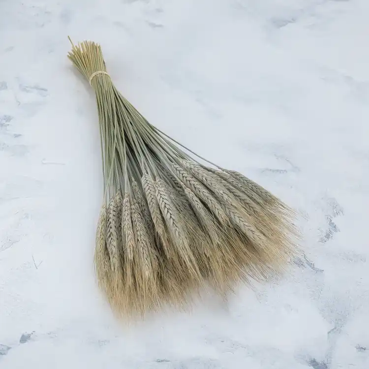 pszenzyto naturalne 1.png