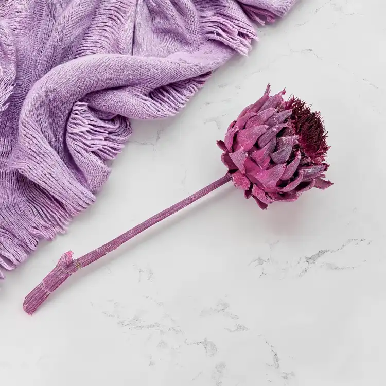 Architoke fr erika 3.png