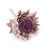 Karczoch suszony – Artichoke – Frosted Rose – 1szt.png