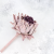 Karczoch suszony – Artichoke – Frosted Rose – 1szt_5.png