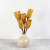 repens cut yellow 5.png