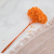 HYDRANGEA PUMPKIN ORANGE COLOR BHYS-11 3.png