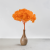 HYDRANGEA PUMPKIN ORANGE COLOR BHYS-11 6.png