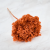 HYDRANGEA AUTUMN ORANGE COLOR BHYS-13 1.png