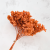 HYDRANGEA AUTUMN ORANGE COLOR BHYS-13 4.png