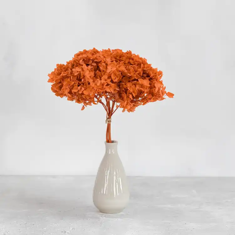 HYDRANGEA AUTUMN ORANGE COLOR BHYS-13 5.png