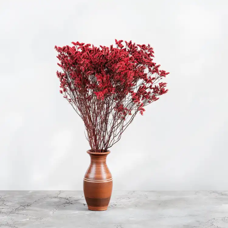 CASPEA 12 RUBY RED 6.png