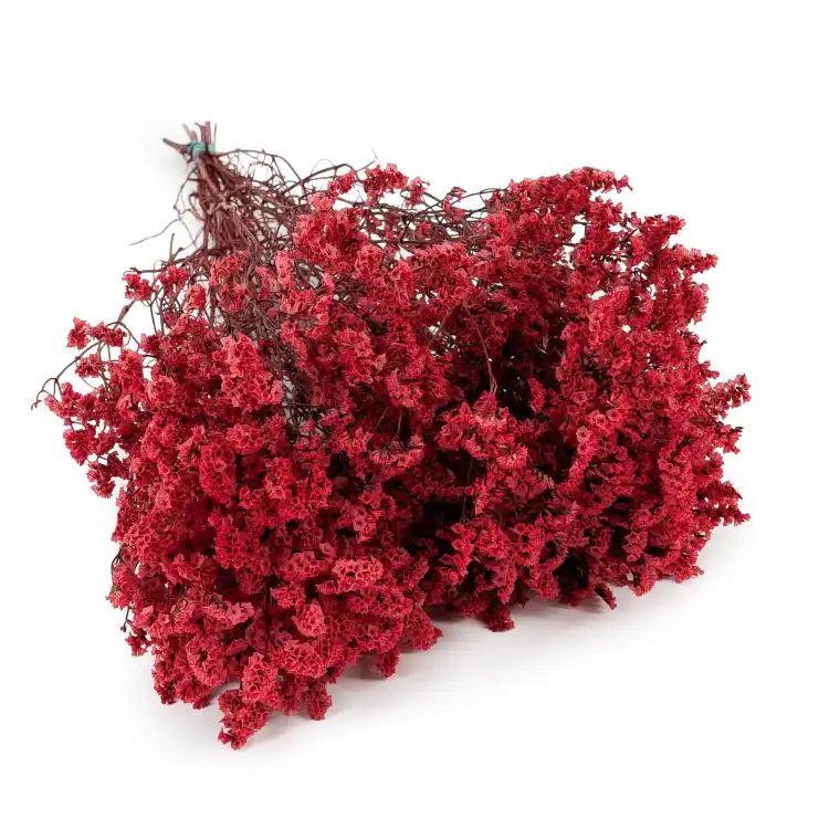 CASPEA 12 RUBY RED.png