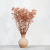 Gips Royal Nude pink 6.png