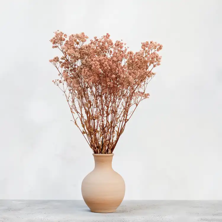 Gips Royal Nude pink 6.png