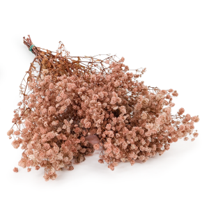 Gips Royal Nude pink.png