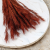Trawa choinkowa ruda 2.png
