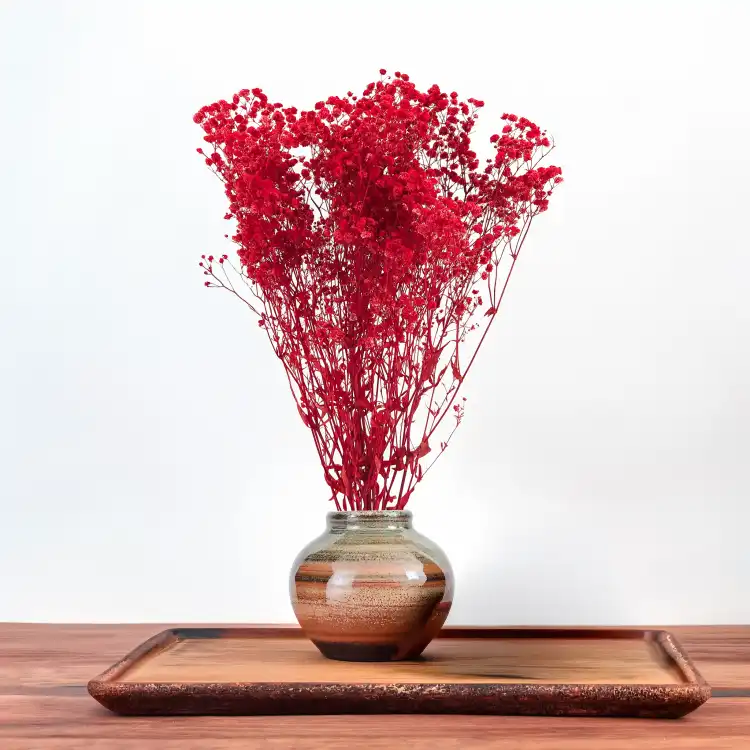 Preserved Gypsophila Deep Red Gipsówka Stabilizowana Głęboka czerwień_5.png