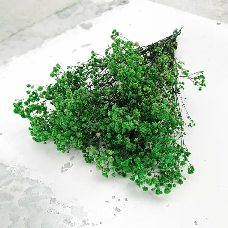 Preserved Gypsophila Green Gipsówka Stabilizowana Zielona_1.png