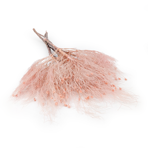 Trawa marzeńdream grass PINK.png