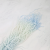 lagurus ombre.png