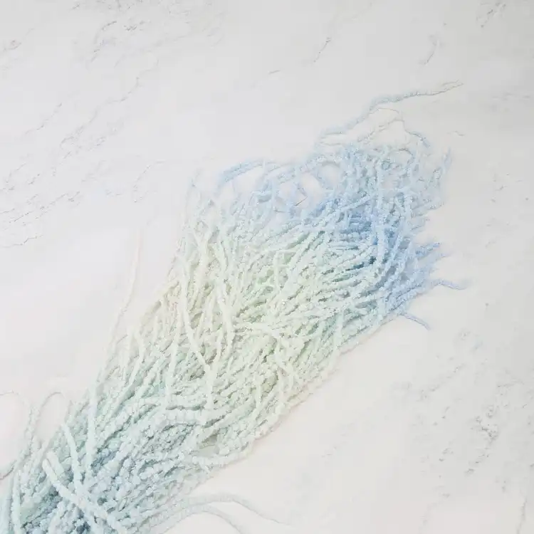 lagurus ombre.png