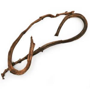 Tige de bananier - 1 pièce