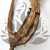 Pędy Bananowca Banana stick 1.jpg