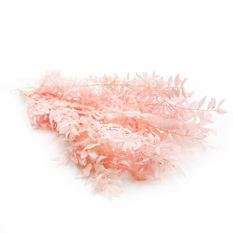 Ruskus różowy stabilizowany2.jpg