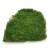 Long Moss Flat Medium Green.jpg