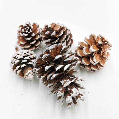 Szyszka Pine Cone Snow Tip 5szt zblizenie.jpg