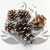 Szyszka Pine Cone Snow Tip 5szt zblizenie.jpg