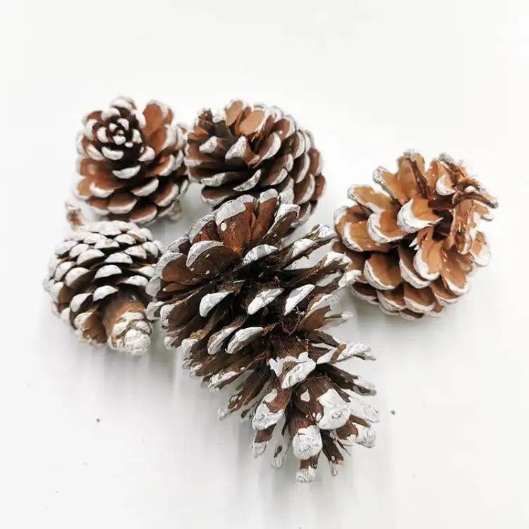 Szyszka Pine Cone Snow Tip 5szt zblizenie.jpg