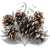 Szyszka Pine Cone Snow Tip 5szt.jpg