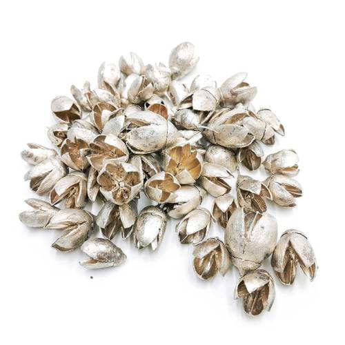 Bakuli Srebro-Platyna 100g.jpg