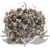 Casurina White Washed 100g.jpg