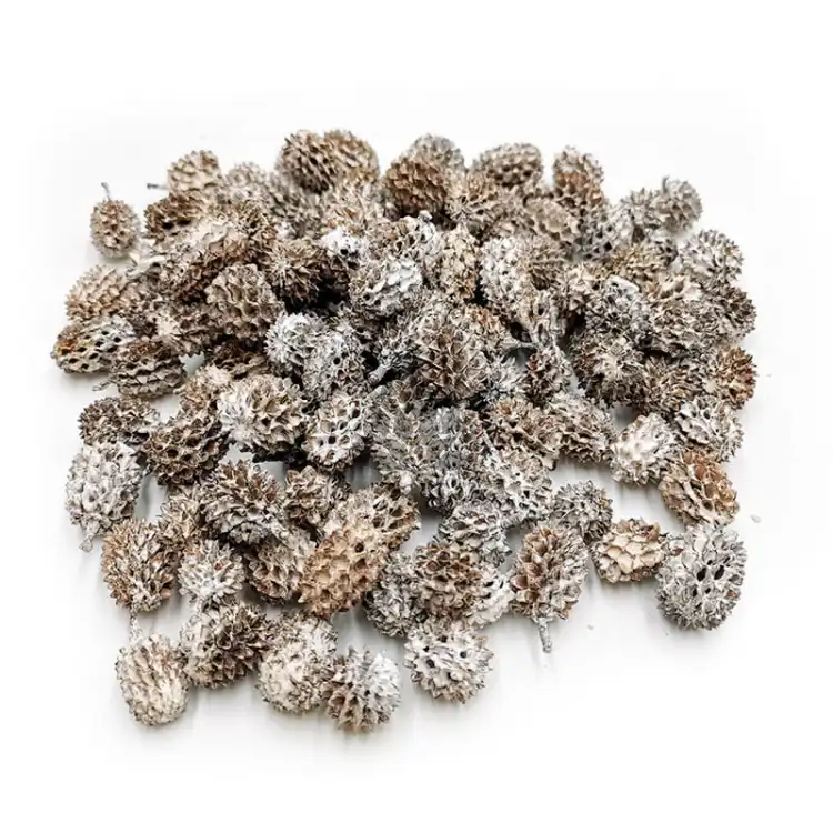Casurina White Washed 100g.jpg