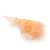 Ruskus peach okladka.jpg