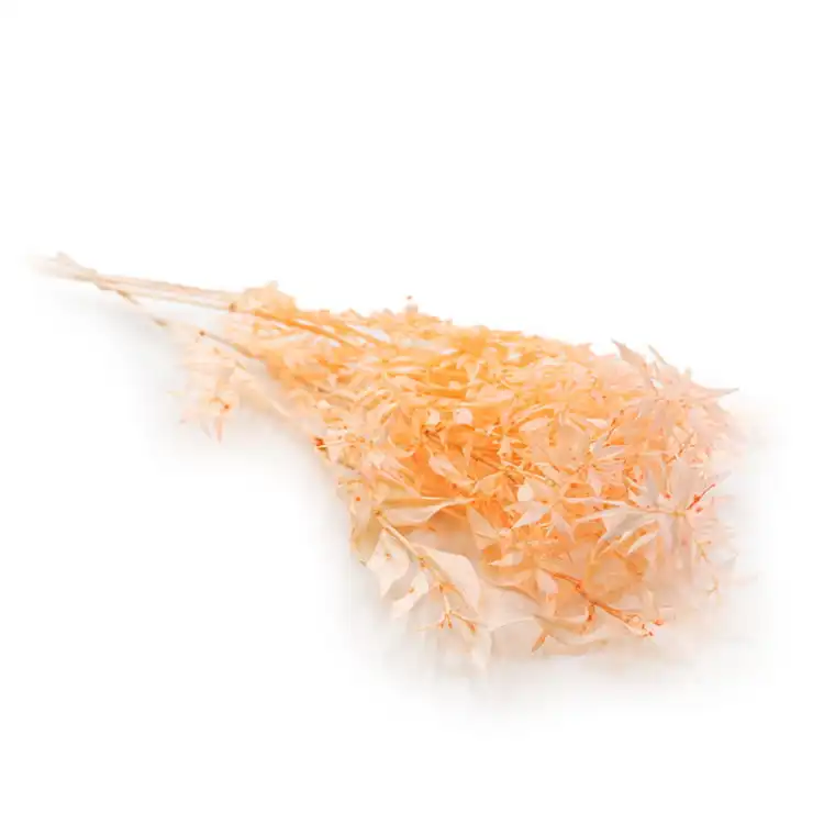 Ruskus peach okladka.jpg