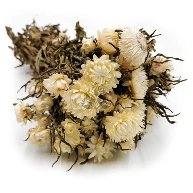 Kocanka Biała (Helichrysum) okladka.jpg