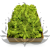 Nor Spr 3.png