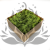 Nor Sz.png