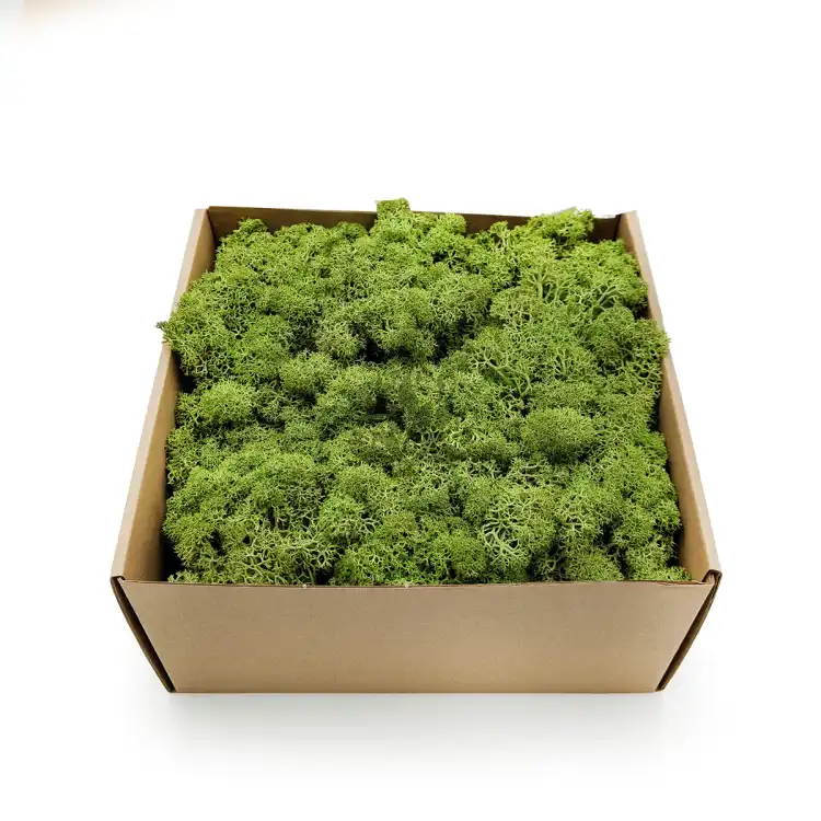 Nor Sz 1.png