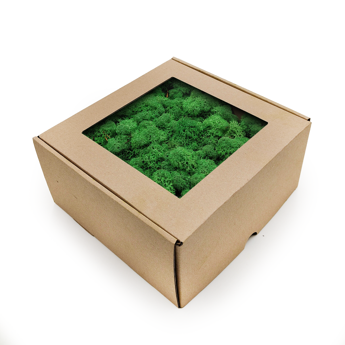 Lichen de renne de Norvège – Vert ombré 250 g NET