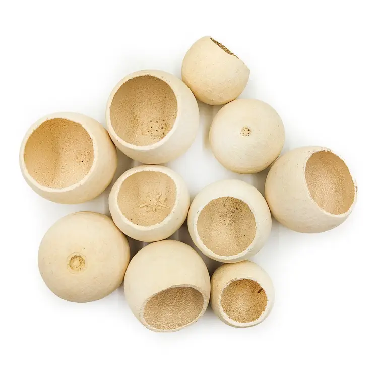 Bell Cup Natural gora.png