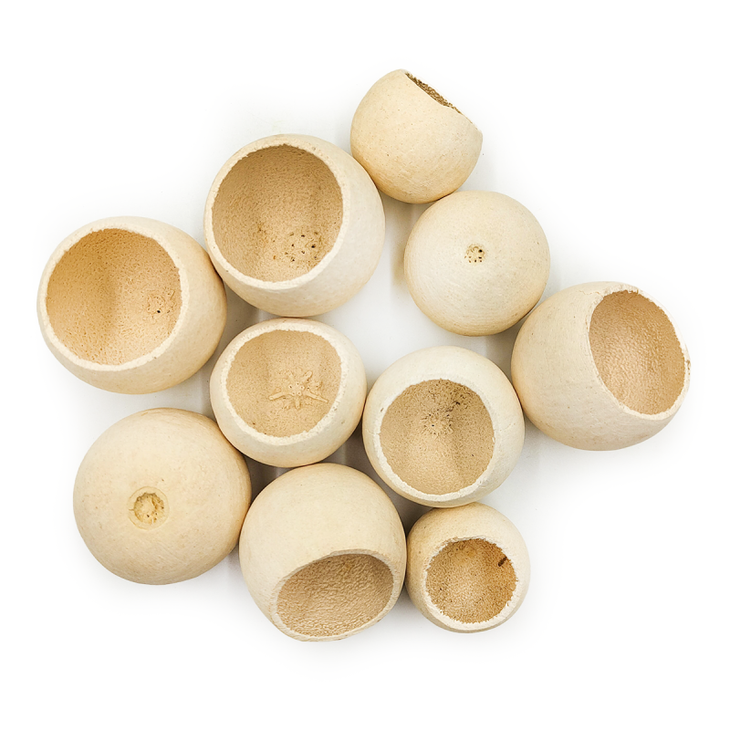 Bell Cup Natural gora.png