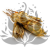 Suszona Protea kremowa okladka.png
