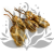 Suszona Protea kremowa okladka1.png