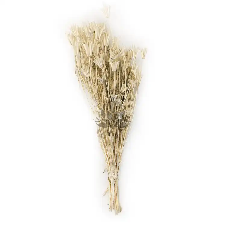 czarnuszka orientalna bielona cala.png