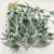 nigella orientalis suszona mietowa zblizenie.png